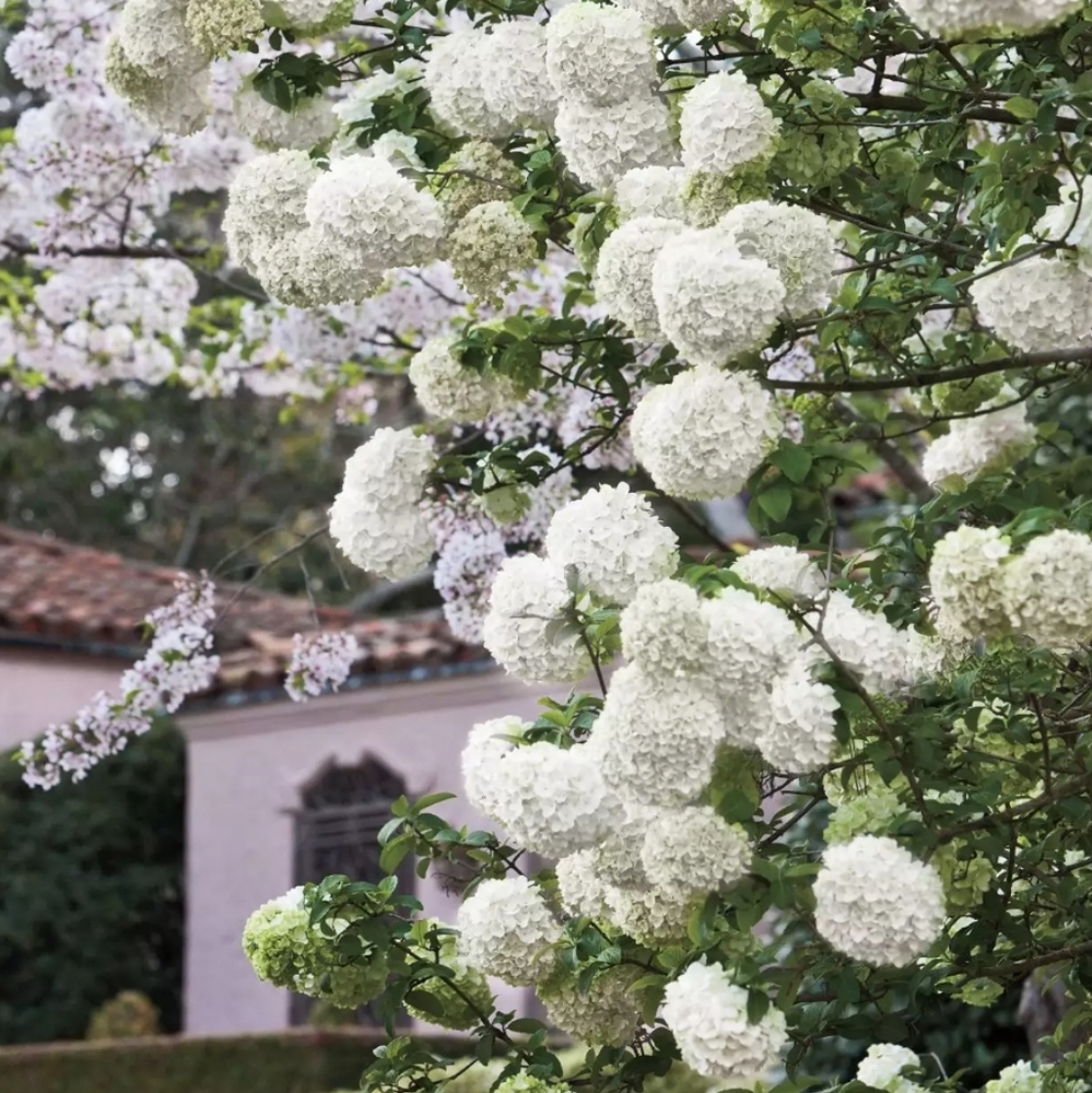 Meet your Posher, Alina